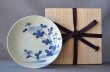 画像1: 古伊万里 藍鍋島様式 菊花文五寸皿 (1)