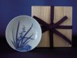 画像1: 古伊万里 藍鍋島様式 染付蘭文小皿 (1)