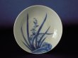 画像2: 古伊万里 藍鍋島様式 染付蘭文小皿 (2)