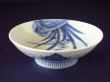 画像5: 古伊万里 藍鍋島様式 染付蘭文小皿 (5)